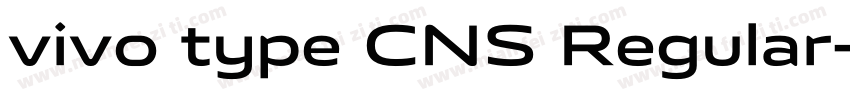 vivo type CNS Regular字体转换